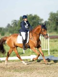 DSC06548 DSC06548