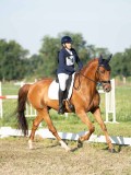 DSC06553 DSC06553