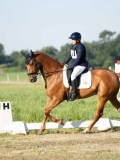 DSC06559 DSC06559