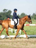 DSC06564 DSC06564