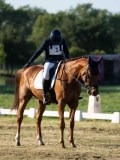 DSC06575 DSC06575