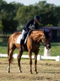 DSC06579 DSC06579