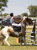 24_07850 24_07850