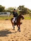 DSC02587