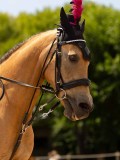 DSC03624 DSC03624