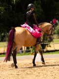 DSC03634 DSC03634