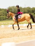 DSC03638 DSC03638