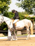 DSC02666 DSC02666