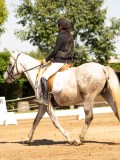 DSC02678 DSC02678