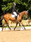 DSC02723 DSC02723