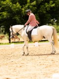 DSC03865 DSC03865