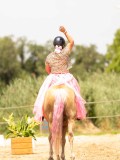 DSC03677 DSC03677