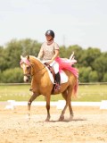 DSC03678 DSC03678