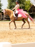DSC03680 DSC03680