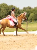 DSC03685 DSC03685