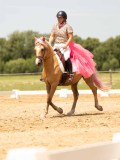 DSC03688 DSC03688