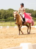 DSC03689 DSC03689
