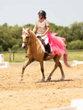 DSC03690 DSC03690