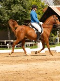 DSC02969 DSC02969