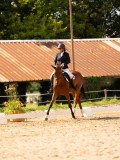 DSC04528 DSC04528
