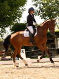 DSC04538 DSC04538