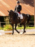 DSC04624 DSC04624