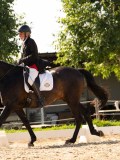 DSC04644 DSC04644