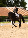 DSC04374 DSC04374