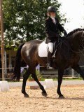 DSC04385 DSC04385