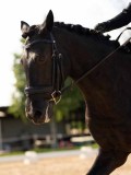 DSC04666 DSC04666