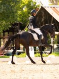 DSC04688 DSC04688