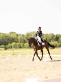 DSC04564 DSC04564