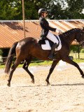 DSC04578 DSC04578