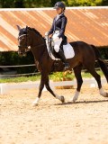 DSC03948 DSC03948