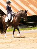 DSC03974 DSC03974