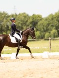 DSC03975 DSC03975