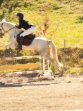 DSC07980 DSC07980
