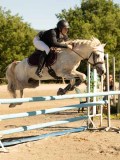 DSC07985 DSC07985