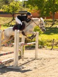 DSC07990 DSC07990