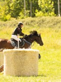 DSC00869 DSC00869