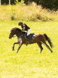 DSC00874 DSC00874