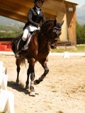 DSC06359 DSC06359
