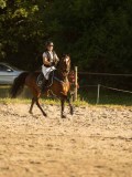 DSC08696 DSC08696
