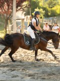 DSC08699 DSC08699