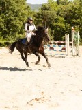 DSC07615 DSC07615