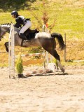 DSC06675 DSC06675
