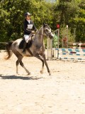 DSC06678 DSC06678