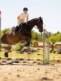 DSC07253 DSC07253