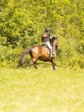 DSC09454 DSC09454