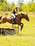 DSC00337